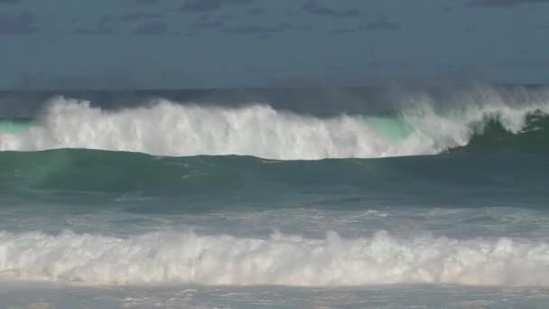Stora Vågor Vid Mauis Kust — Stockvideo