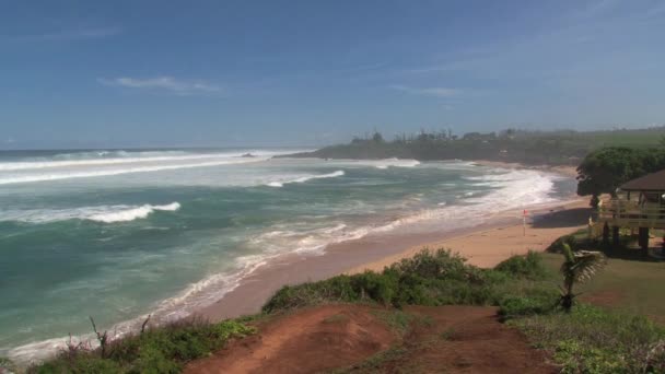 Surfista Gran Ola Surfing Break Tiburón Orilla Norte Isla Maui — Vídeos de Stock
