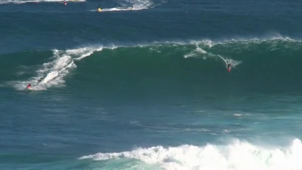 Surfer Big Wave Surfing Break Jaws Nordufer Der Insel Maui — Stockvideo