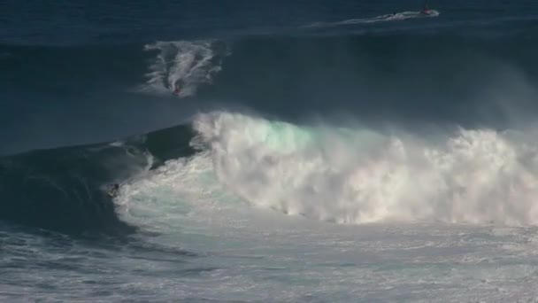 Surfista Gran Ola Surfing Break Tiburón Orilla Norte Isla Maui — Vídeo de stock