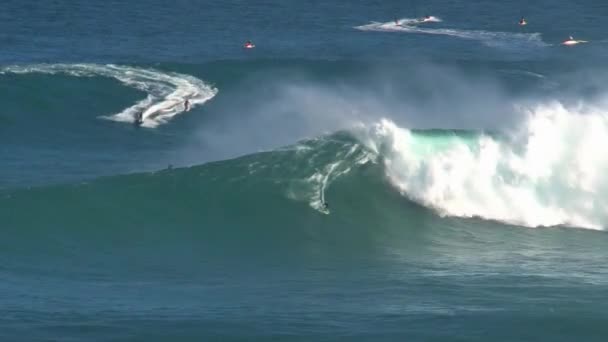 Büyük Dalgalarda Sörf Yapan Sörfçü Hawaii Nin Maui Adasının Kuzey — Stok video