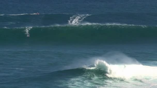 Surfista Gran Ola Surfing Break Tiburón Orilla Norte Isla Maui — Vídeo de stock