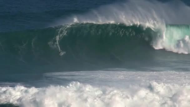 Surfista Gran Ola Surfing Break Tiburón Orilla Norte Isla Maui — Vídeo de stock