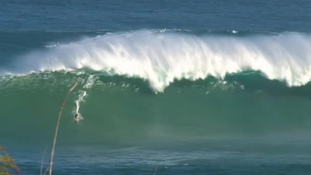 Surfer Wielkiej Fali Surfing Przerwa Szczęki Północnym Brzegu Wyspy Maui — Wideo stockowe