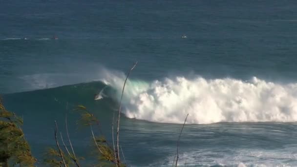 Серфінг Великій Хвилі Розриває Щелепи Північному Березі Острова Мауї Гаваї — стокове відео