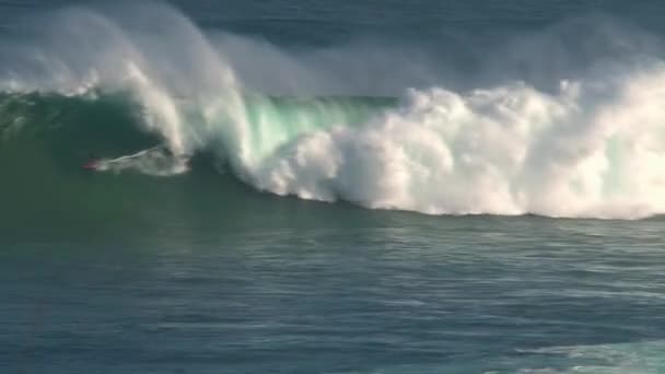 ハワイのマウイ島の北岸にある大きな波のサーフィンブレイクJawsでサーファー — ストック動画