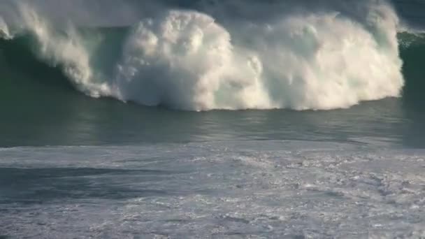 Big Wave Surf Break Mâchoires Sur Rive Nord Île Maui — Video