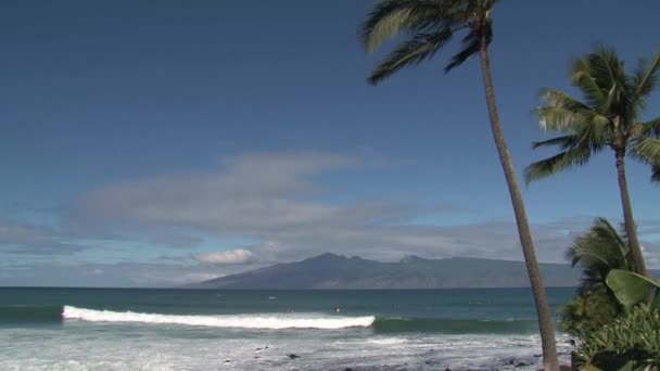Surfeurs sur la rive nord de Maui, Hawaï, États-Unis