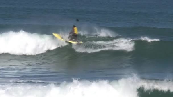 Stand Peddle Surf — Vídeo de Stock