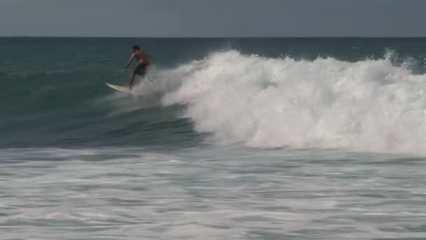 美国夏威夷毛伊岛北岸的冲浪者 — 图库视频影像
