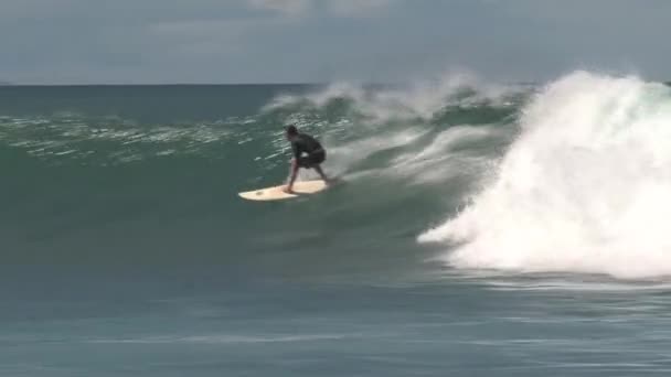 ハワイ州マウイ島の北岸でサーファー — ストック動画