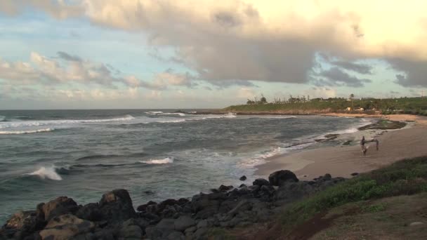 Surfers North Shore Maui Hawaii Usa — Stock Video