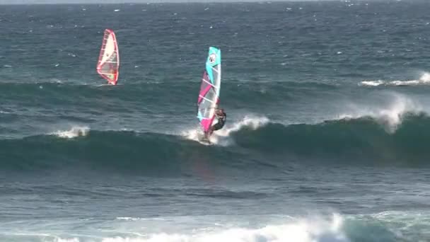 Windsurf Maui Hawaii — Video Stock