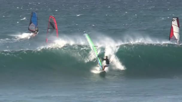 Windsurfing Maui Havaj — Stock video