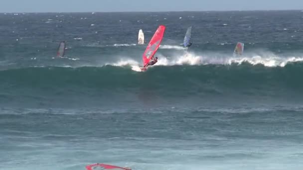 ハワイ州マウイ島のウィンドサーフィン — ストック動画