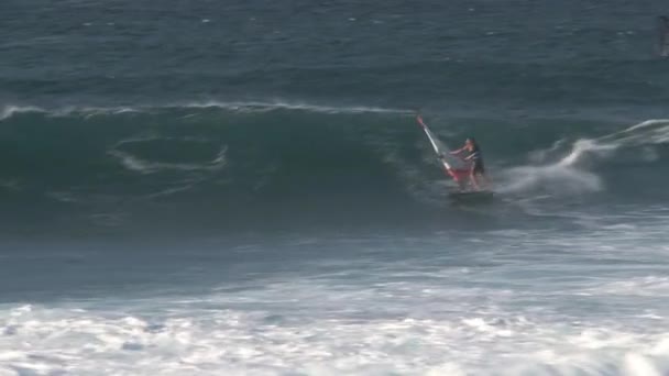 Windsurfing Maui Hawaii — Stock Video