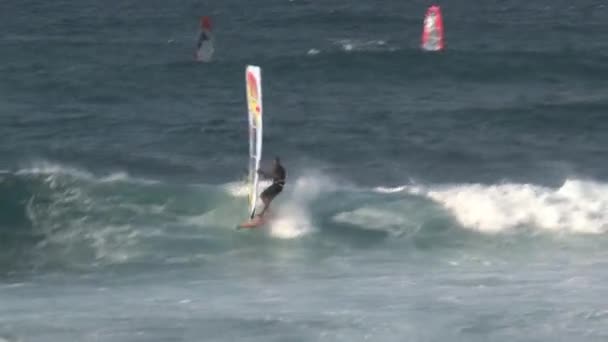 Windsurf Maui Havaí — Vídeo de Stock