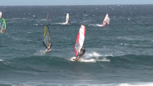 Windsurf Maui Hawaii — Video Stock