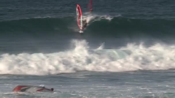 Windsurf Maui Hawaii — Video Stock