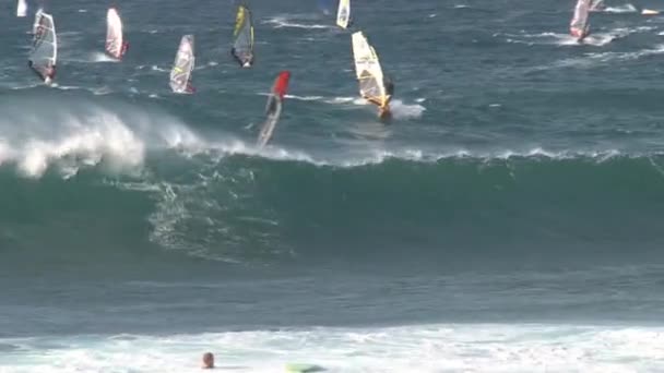 Windsurf Maui Havaí — Vídeo de Stock