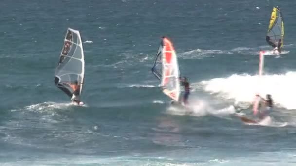 Windsurf Maui Havaí — Vídeo de Stock