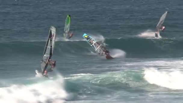 Windsurf Maui Havaí — Vídeo de Stock