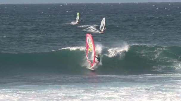 Maui Hawaii Rüzgar Sörfü — Stok video