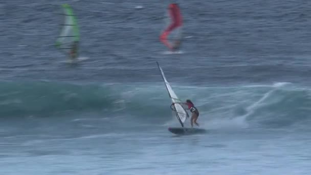 Windsurfing Maui Hawaii — Stock Video