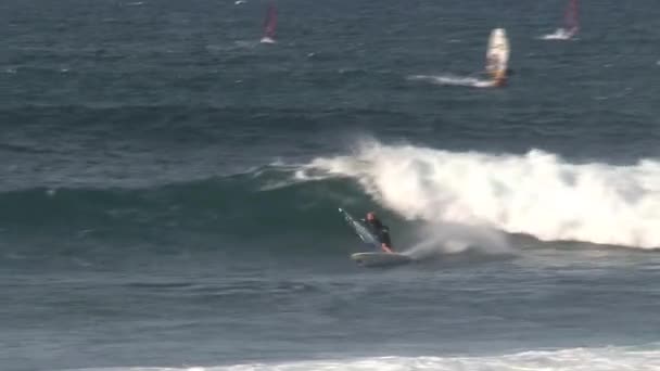 ハワイ州マウイ島のウィンドサーフィン — ストック動画