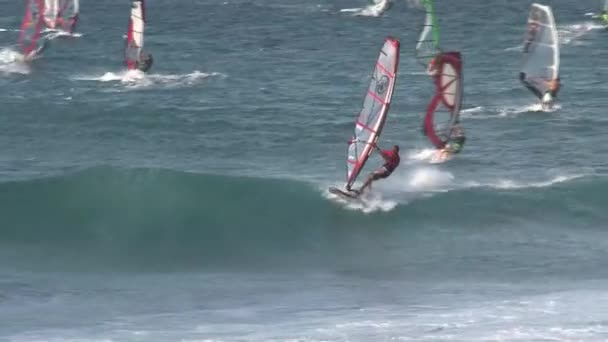 Windsurfing Maui Hawaii — Stock Video