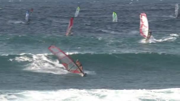 Planche Voile Maui Hawaï — Video