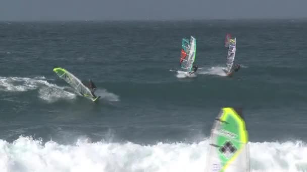 Windsurf Maui Hawaii — Vídeo de stock