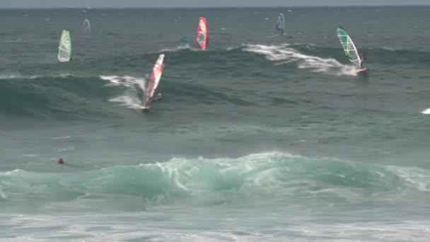 Windsurfing Maui Havaj — Stock video