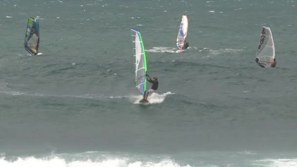 Windsurfing Maui Hawaii — Stock Video