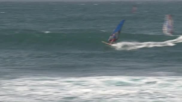 Windsurfing Maui Havaj — Stock video