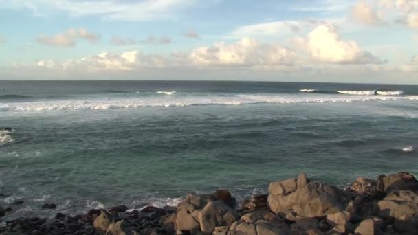 Linha Costeira Rochosa Maui Havaí — Vídeo de Stock