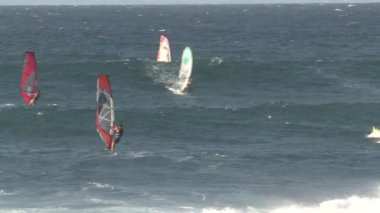 Maui, Hawaii 'de rüzgar sörfü