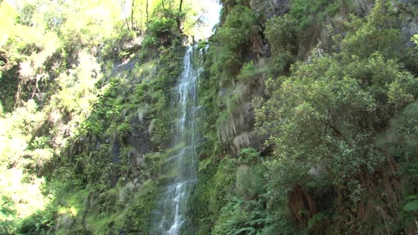 Gran Cascada Carretera Oceánica Victoria Australia — Vídeos de Stock