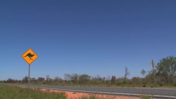 Kangaroo Cross Road Sign Car Passing — Stock Video