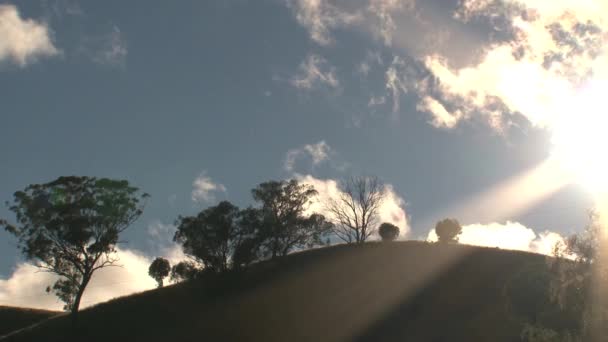 Australienskt Landskap Vildmarken Australien — Stockvideo