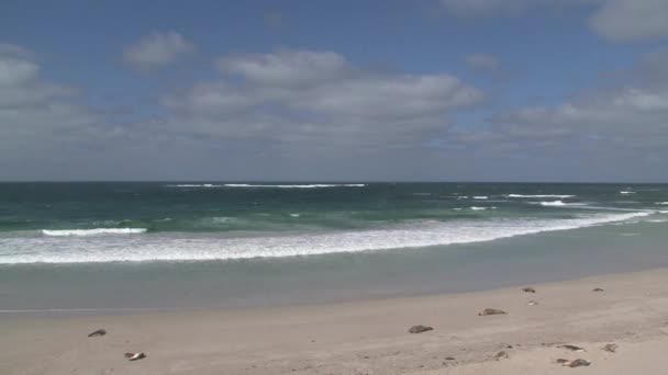 Sealbay Ilha Canguru Austrália — Vídeo de Stock