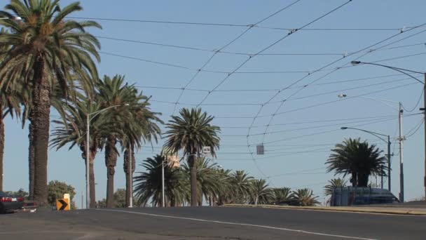 Stkilda Melbourne Nuova Zelanda — Video Stock