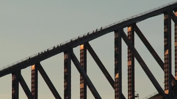 Marcher Pont Port Sydney Australie — Video