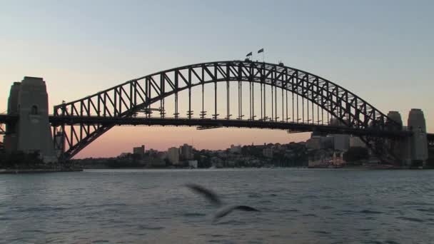 Most Portowy Sydney Wieczorem Australia — Wideo stockowe