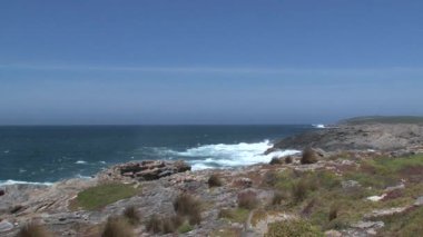 Sahil Kangurusu Adası, Avustralya