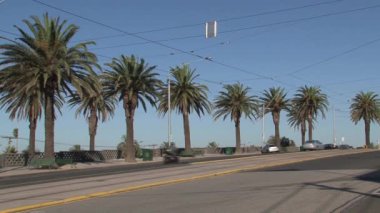 Stkilda Melbourne, Yeni Zelanda 'da