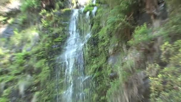 Водопад Great Ocean Road Виктория Австралия — стоковое видео