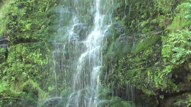 Gran Cascada Carretera Oceánica Victoria Australia — Vídeos de Stock