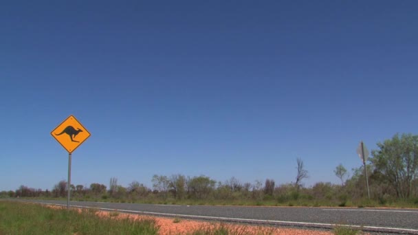 Une Voiture Signalisation Kangourou Traverser Route Passant Par — Video