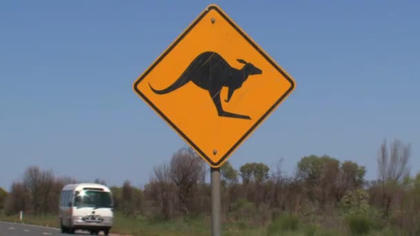 Een Kangoeroe Kruising Wegwijzer Bus Passeren — Stockvideo
